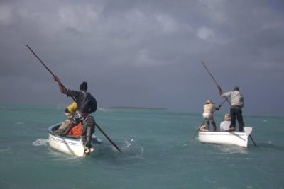 L'ile Rodrigues. La fête de pêcher